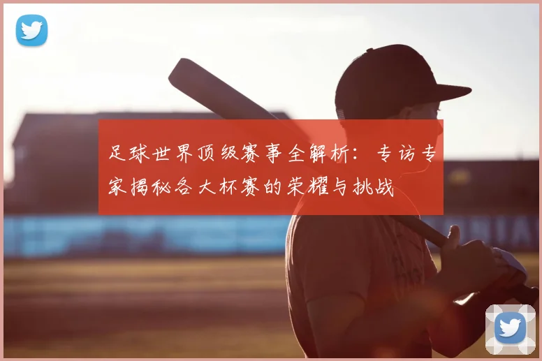 足球世界顶级赛事全解析：专访专家揭秘各大杯赛的荣耀与挑战