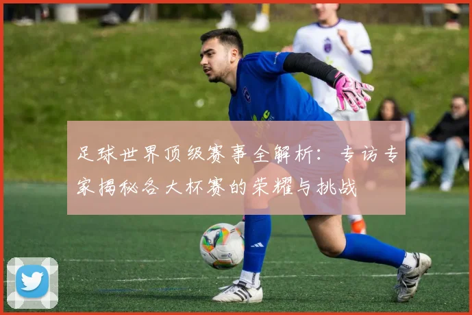 足球世界顶级赛事全解析：专访专家揭秘各大杯赛的荣耀与挑战